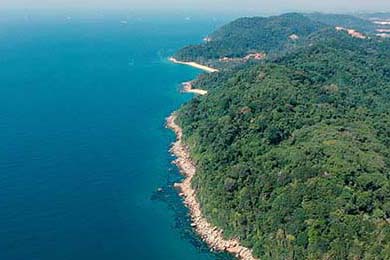 丈夫婚后频繁劈腿 出轨后被抓不到一月又换小三